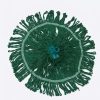 Commercial Grade Round Mop